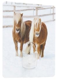 Pony 'Magic Hook' Zelfklevende Opberghaak