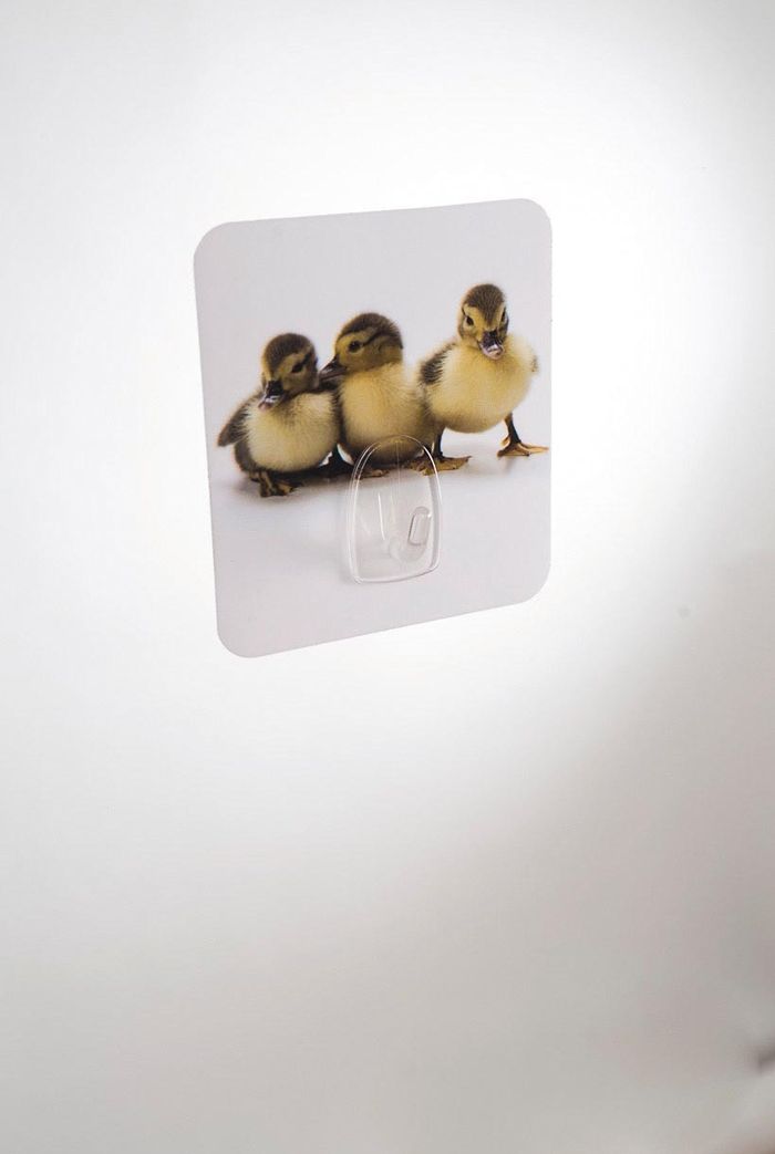 Eend 'Magic Hook' Zelfklevende Opberghaak 2 Compactor