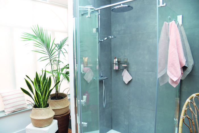 Bestlock douchekop met zeephouder 2 Compactor