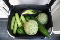 Boodschappenwagentje 'Brooklyn' met vriesgedeelte