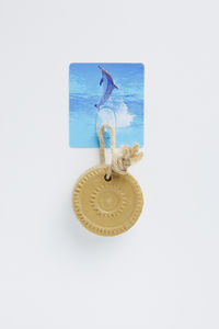 Dolfijn 'Magic Hook' Zelfklevende Opberghaak