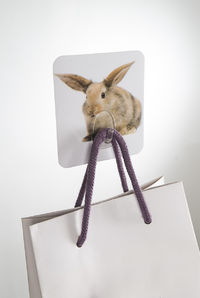 Konijn 'Magic Hook' Zelfklevende Opberghaak