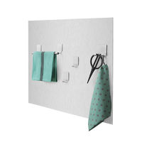 Keukenwand Spatscherm met Magnetische opbergaccessoires